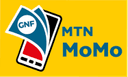 mtn momo icon